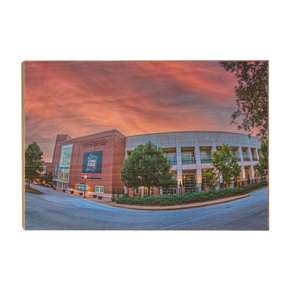 Auburn Tigers - Auburn Arena - College Wall Art #Canvas