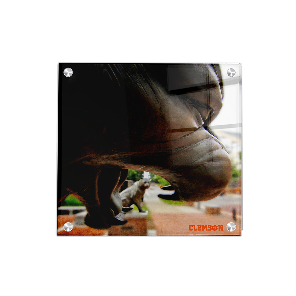 Clemson Tigers - Clemson Tigers - College Wall Art #Canvas