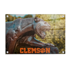 Clemson Tigers - Tigers Roars - College Wall Art #Acrylic