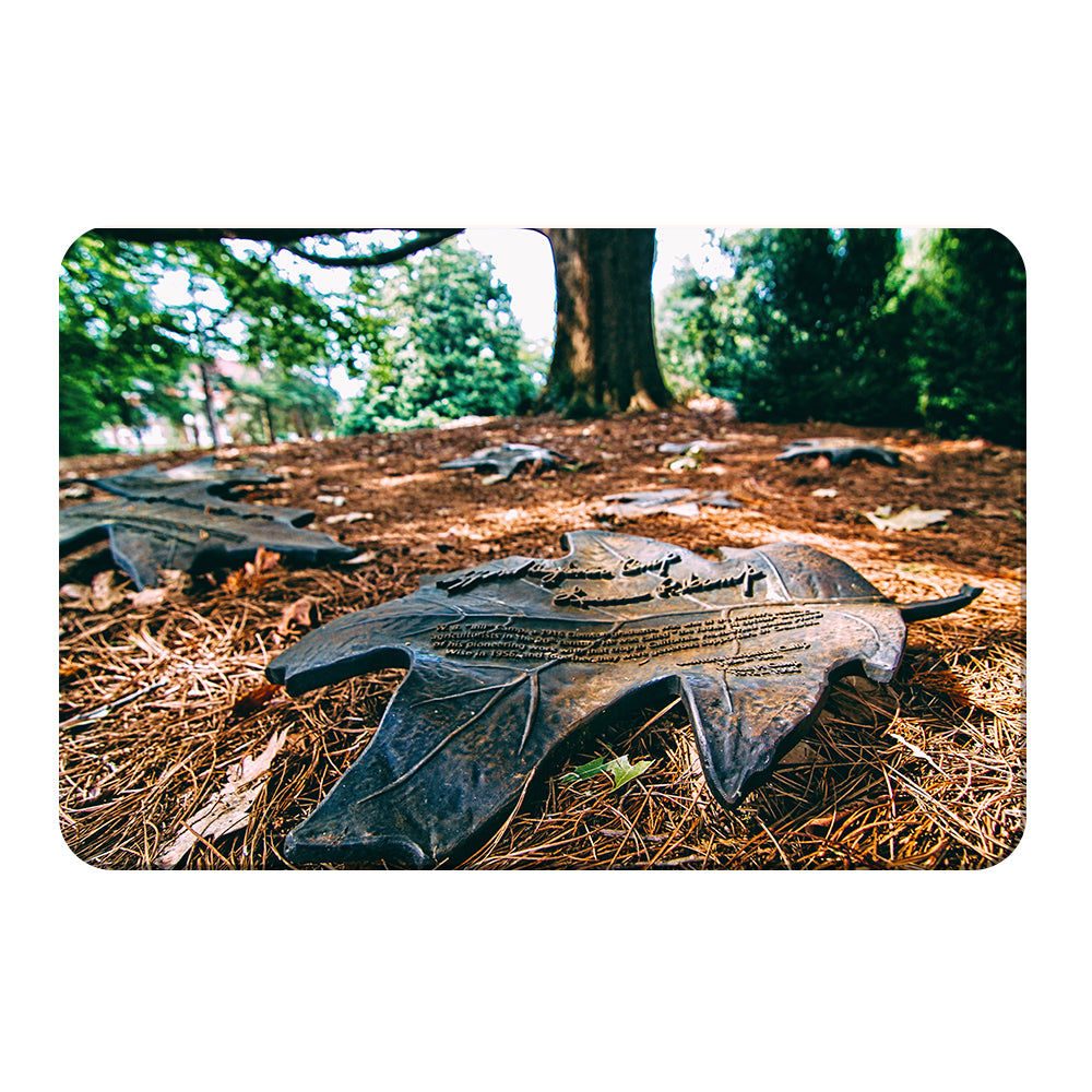 Clemson Tigers - The Fort Hill Legacy - College Wall Art #Canvas