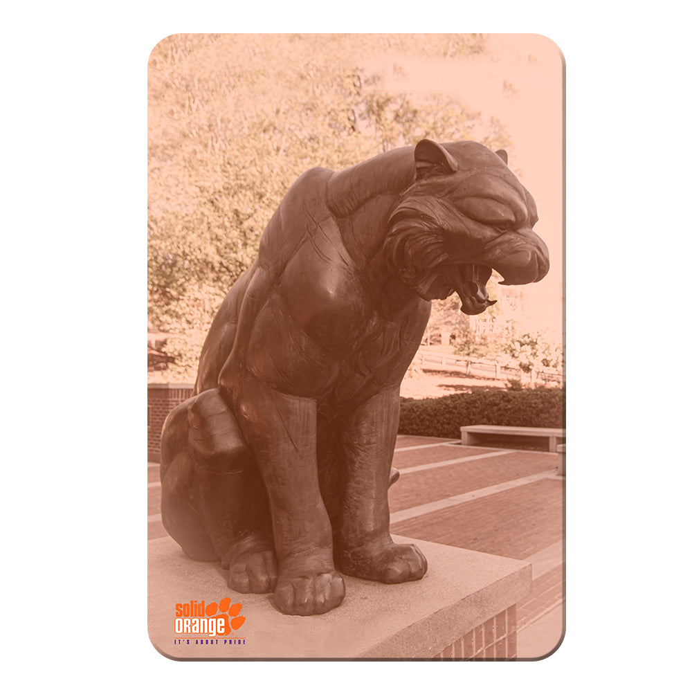Clemson Tigers - More Solid Orange - College Wall Art #Canvas