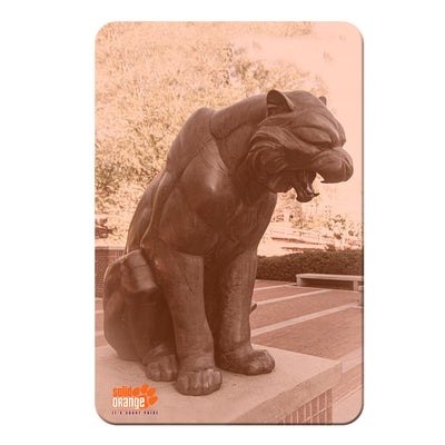 Clemson Tigers - More Solid Orange - College Wall Art #PVC