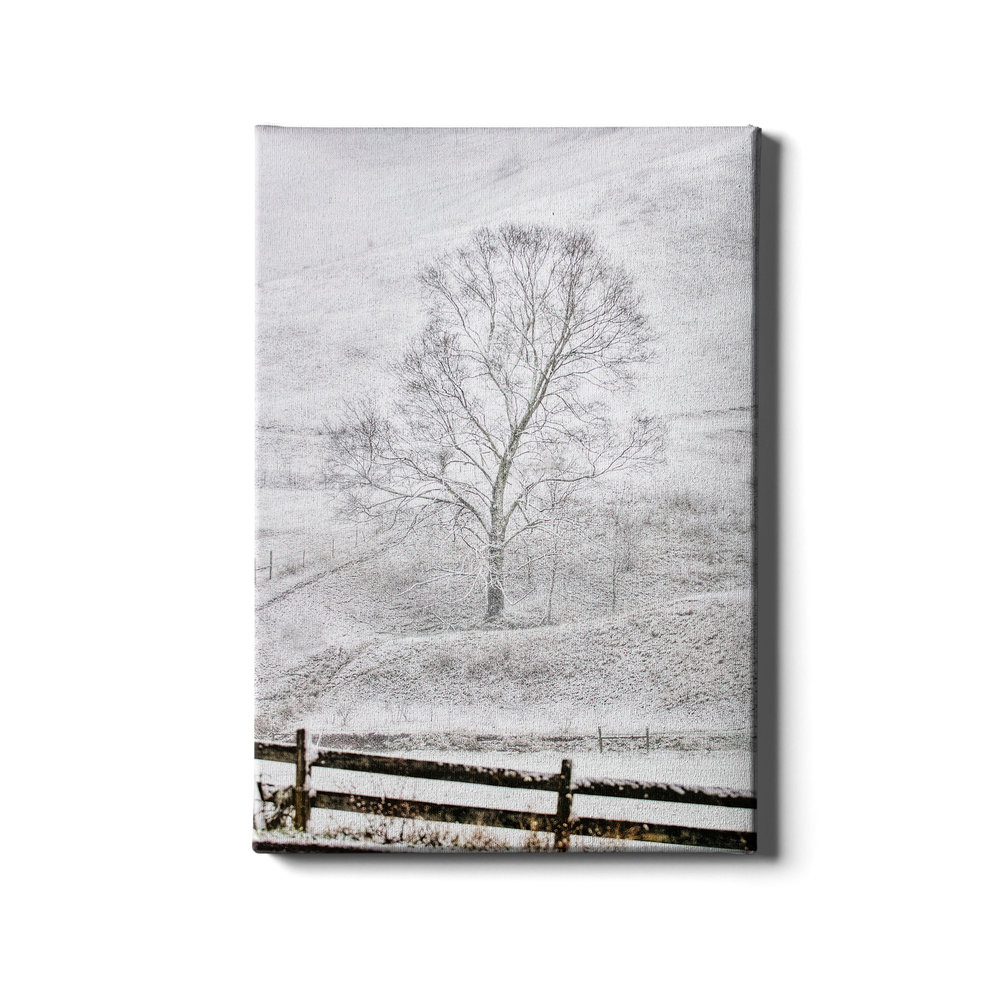 Snow Dusting - College Wall Art
