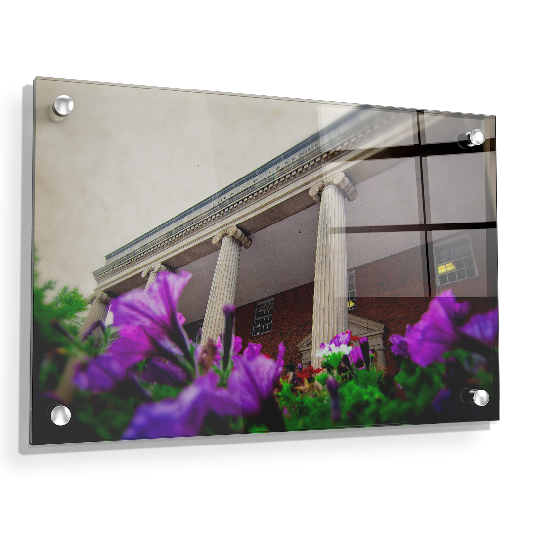 ETSU - Burgin Dossett Petunias - College Wall Art#Canvas