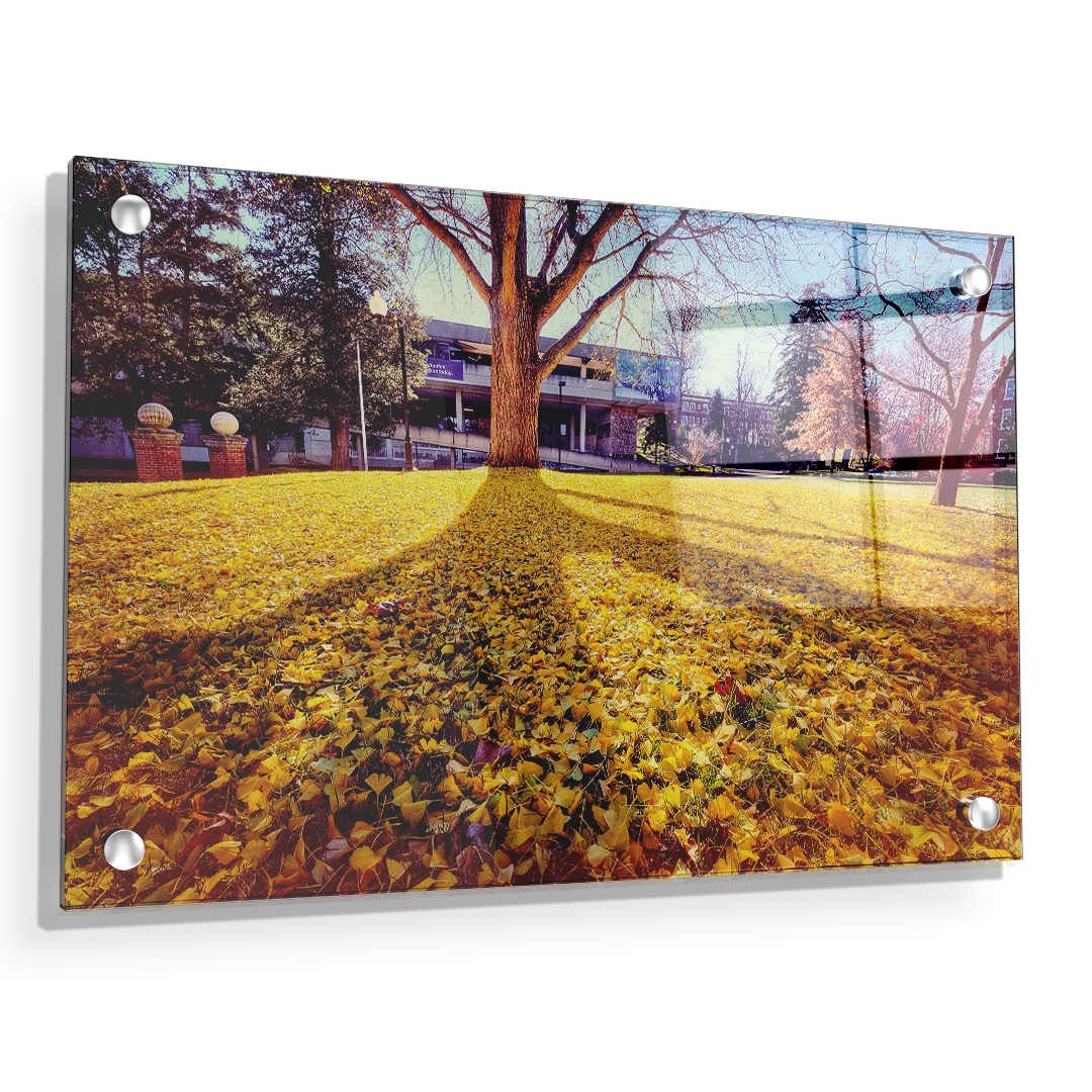 ETSU - Autumn Day - College Wall Art#Canvas