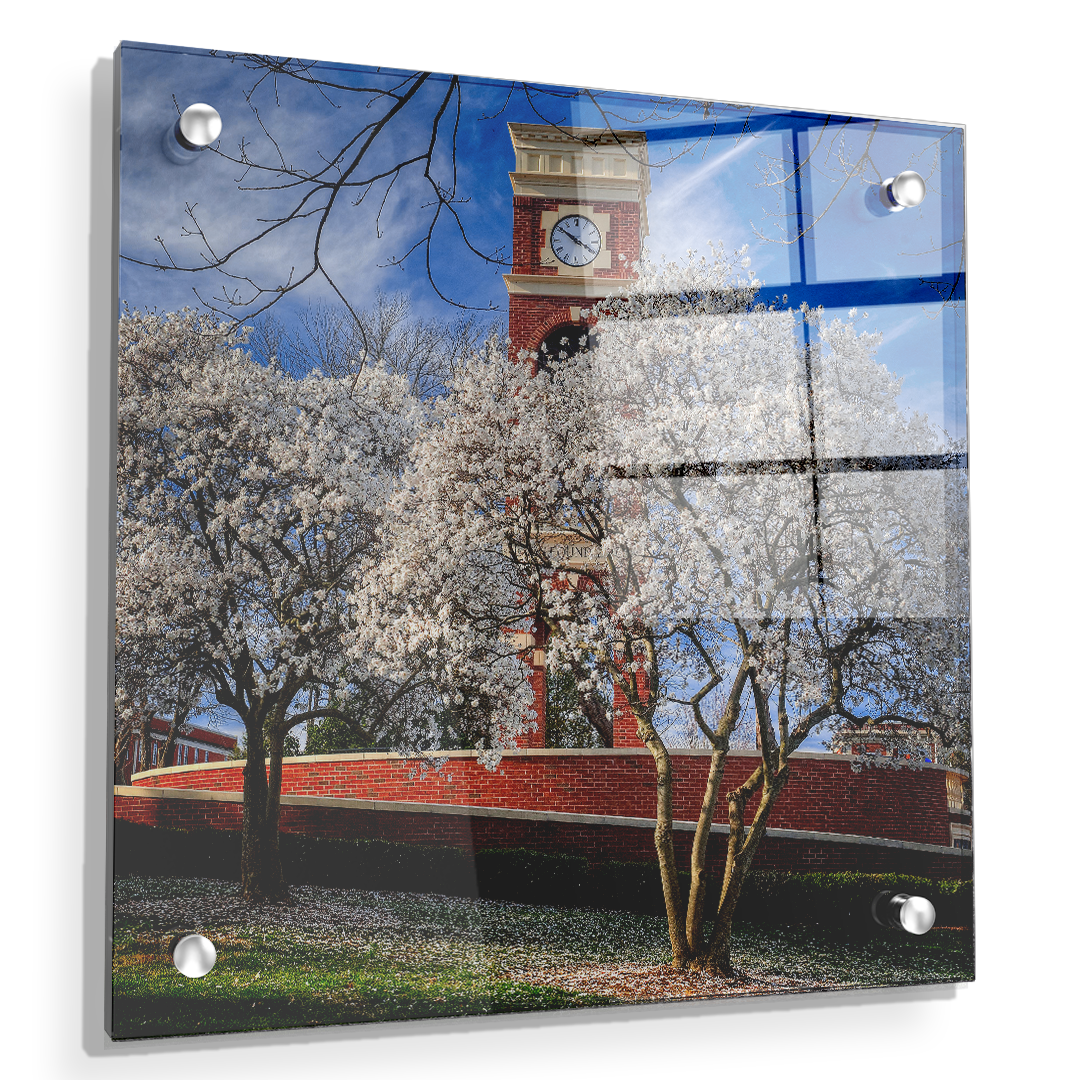 ETSU - Spring - College Wall Art #Canvas