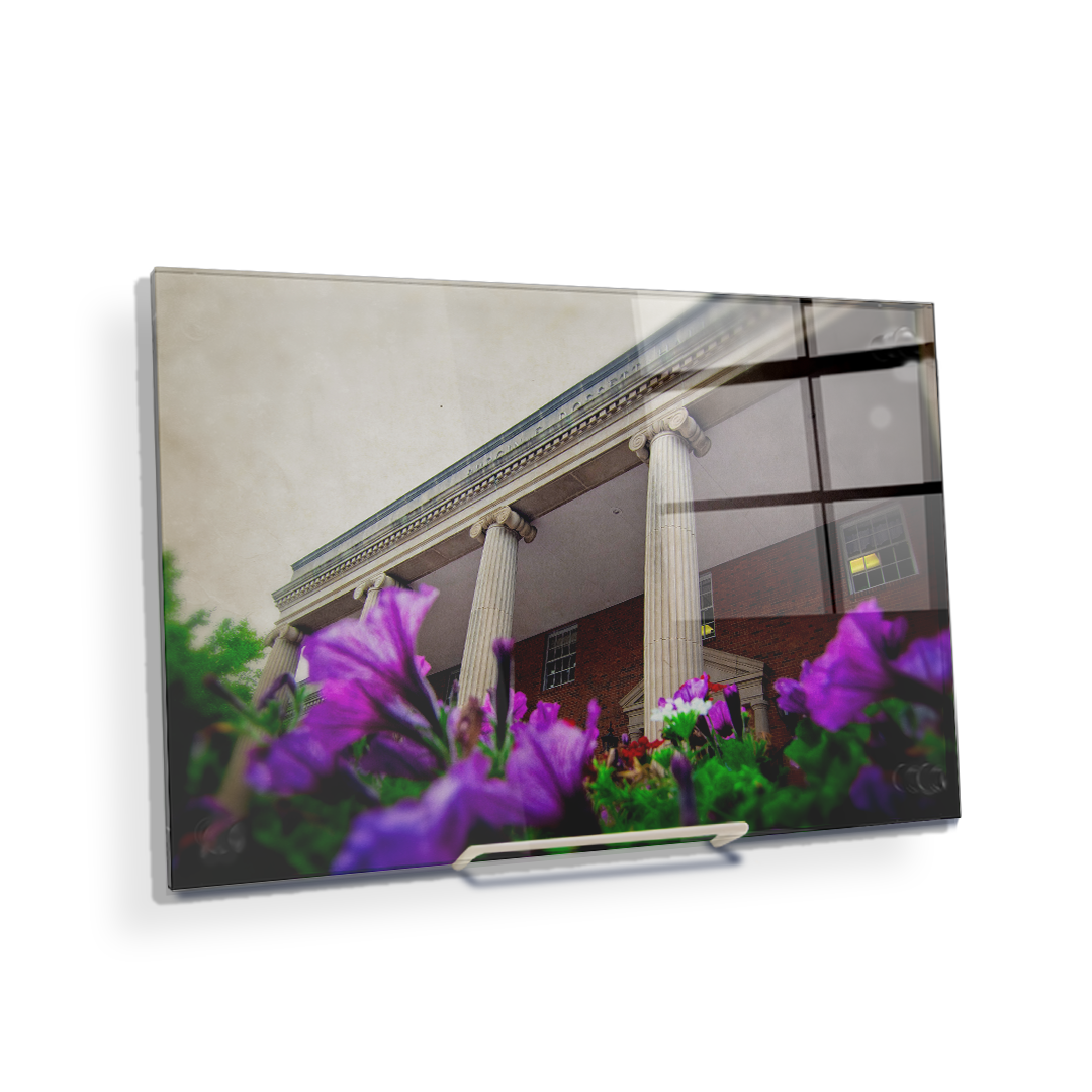 ETSU - Burgin Dossett Petunias - College Wall Art#Canvas