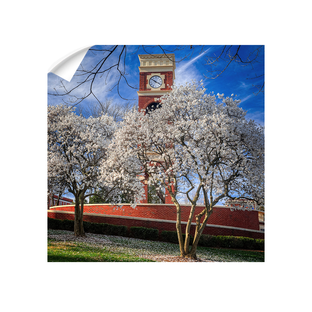 ETSU - Spring - College Wall Art #Canvas