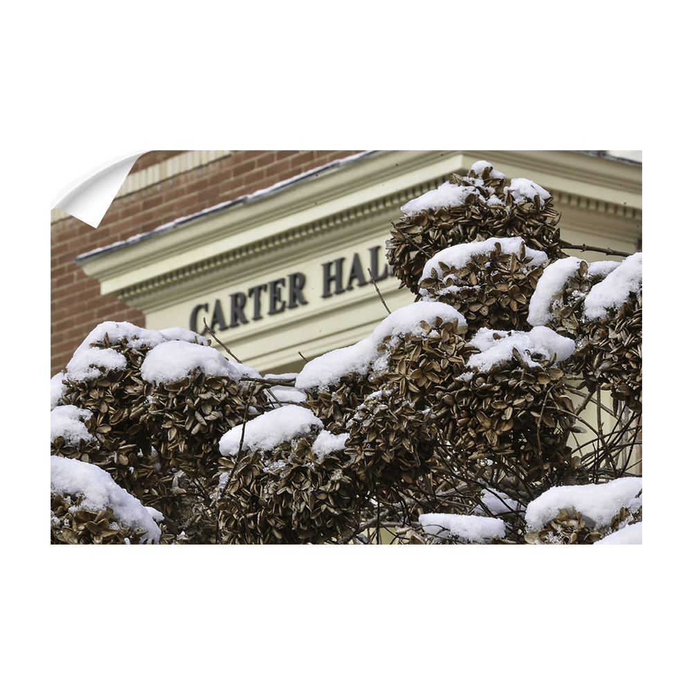 ETSU - Winter Carter Hall - College Wall Art #Canvas