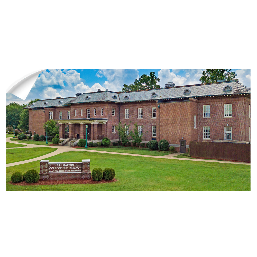 ETSU - Bill Gatton College of Pharmacy - College Wall Art #Canvas