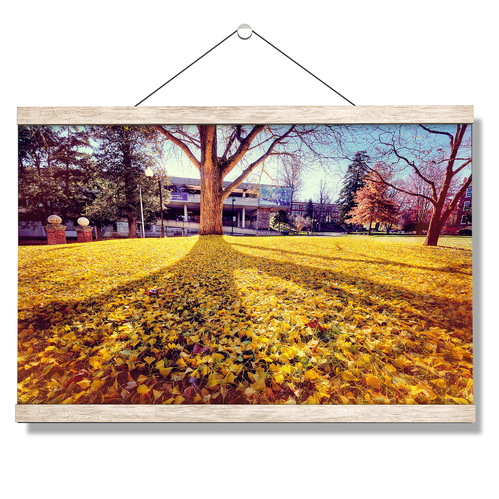 ETSU - Autumn Day - College Wall Art#Canvas