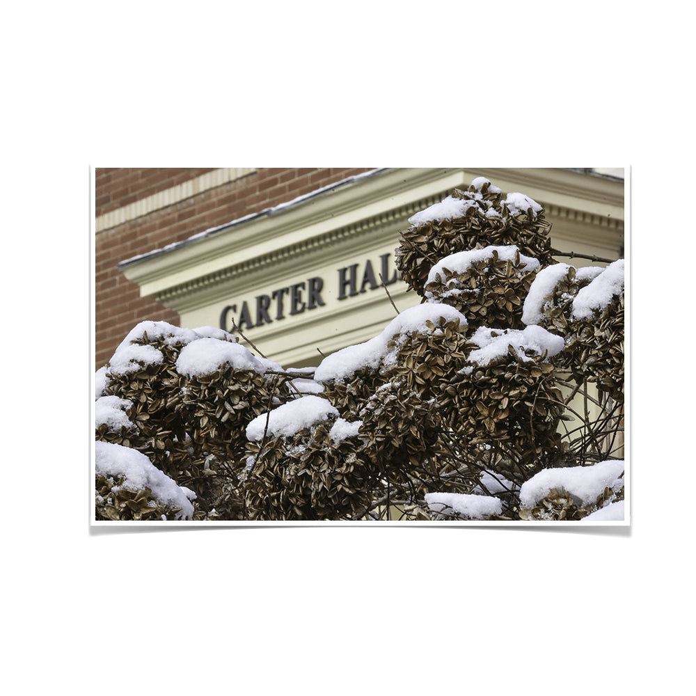 ETSU - Winter Carter Hall - College Wall Art #Canvas