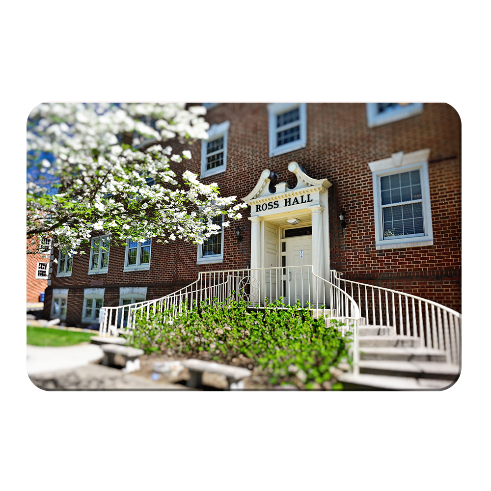 ETSU - Ross Hall - College Wall Art #Canvas