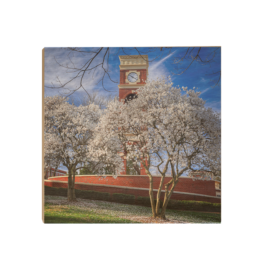 ETSU - Spring - College Wall Art #Canvas