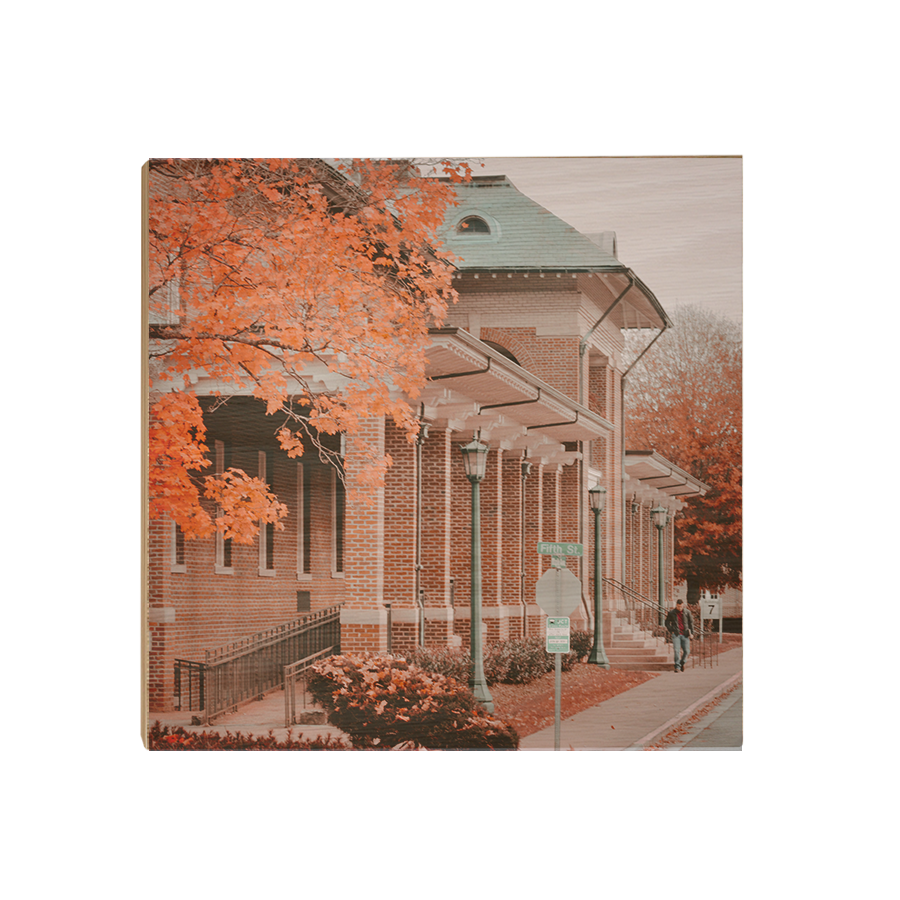 ETSU - Fall Bill Gatton School of Pharmacy - College Wall Art #Canvas