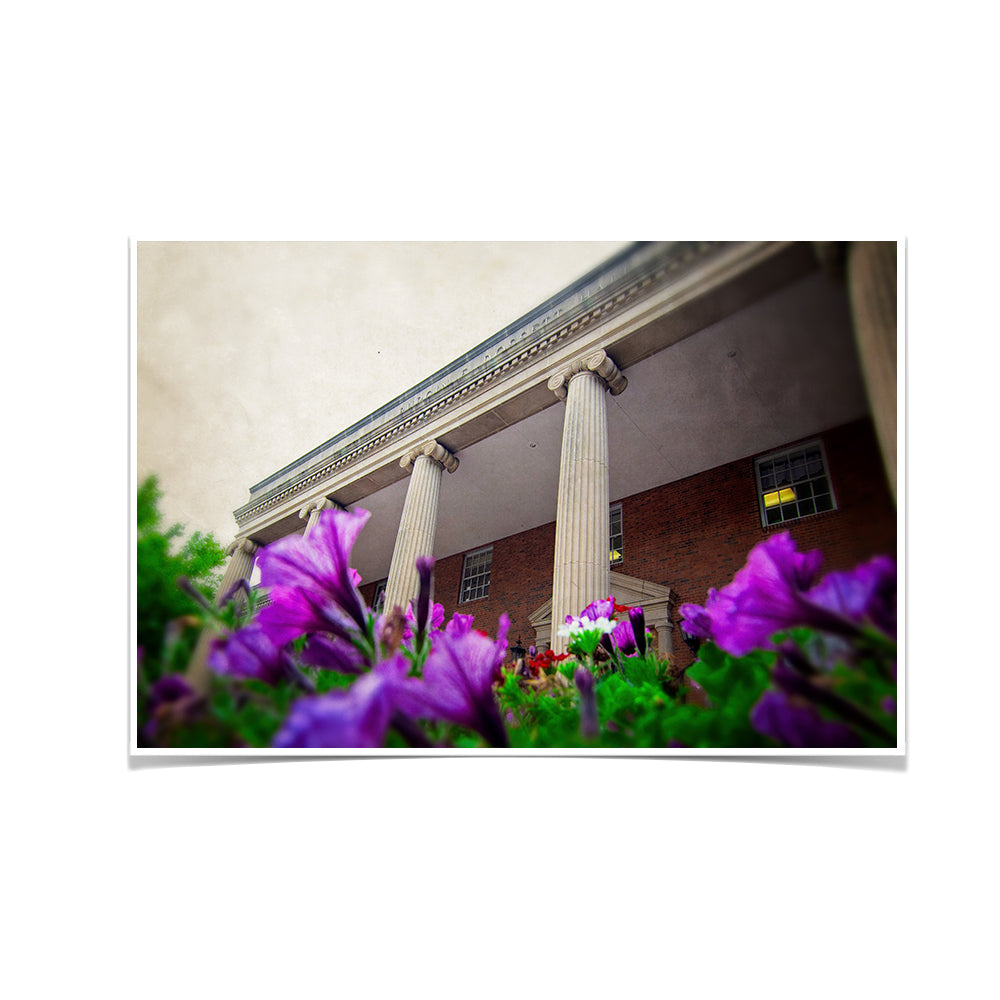 ETSU - Burgin Dossett Petunias - College Wall Art#Canvas