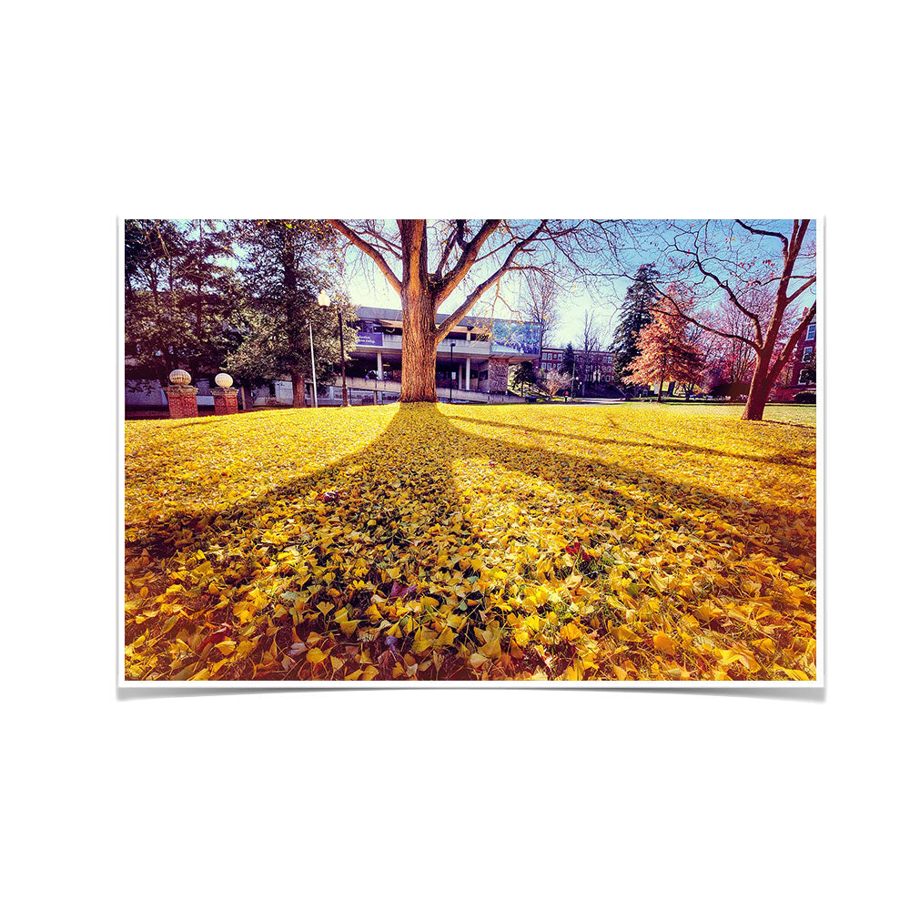 ETSU - Autumn Day - College Wall Art#Canvas