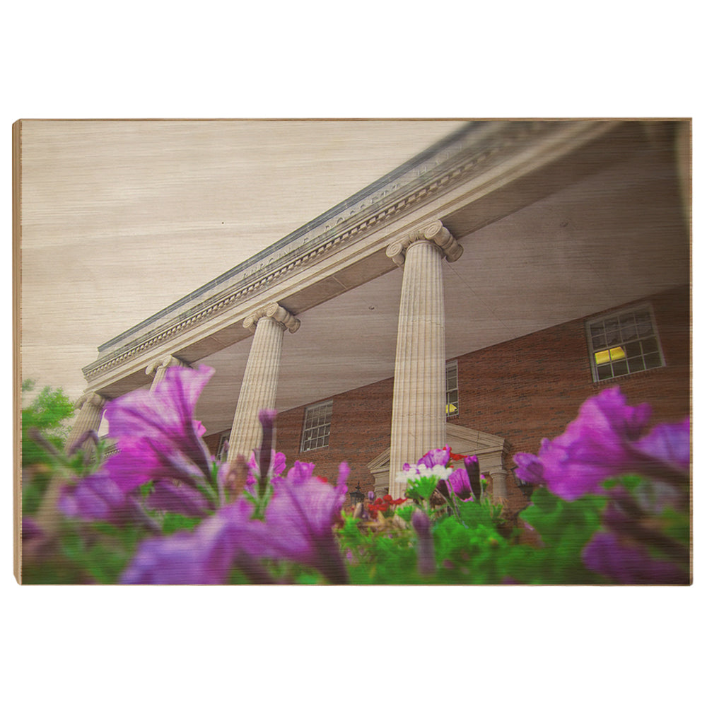 ETSU - Burgin Dossett Petunias - College Wall Art#Canvas