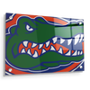 Florida Gators - Gator - College Wall Art #Acrylic
