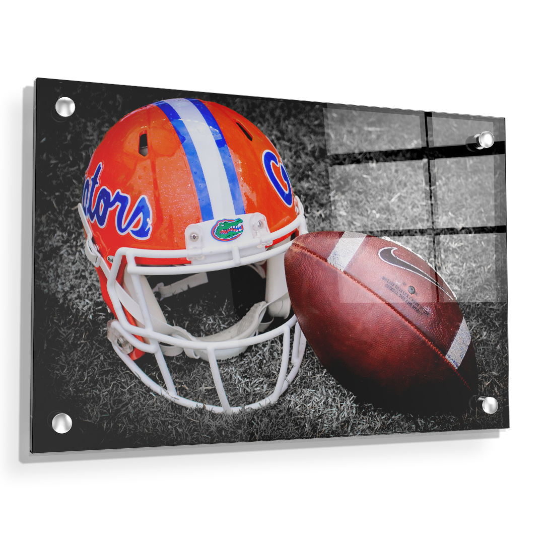 Florida Gators - Gator Ball Helmet - College Wall Art #Canvas