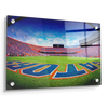 Florida Gators - Swamp End Zone - College Wall Art #Acrylic