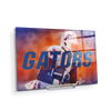 Florida Gators - Throw Back Run - College Wall Art #Acrylic Mini