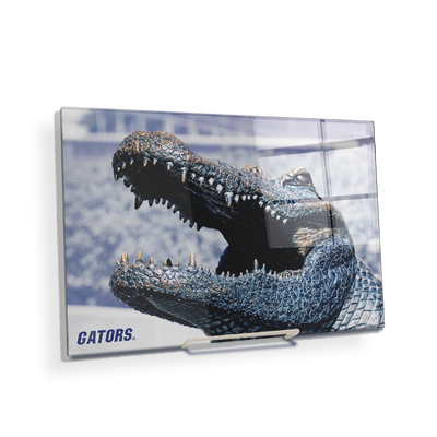 Florida Gators - Bull Gator Up Close - College Wall Art #Acrylic Mini