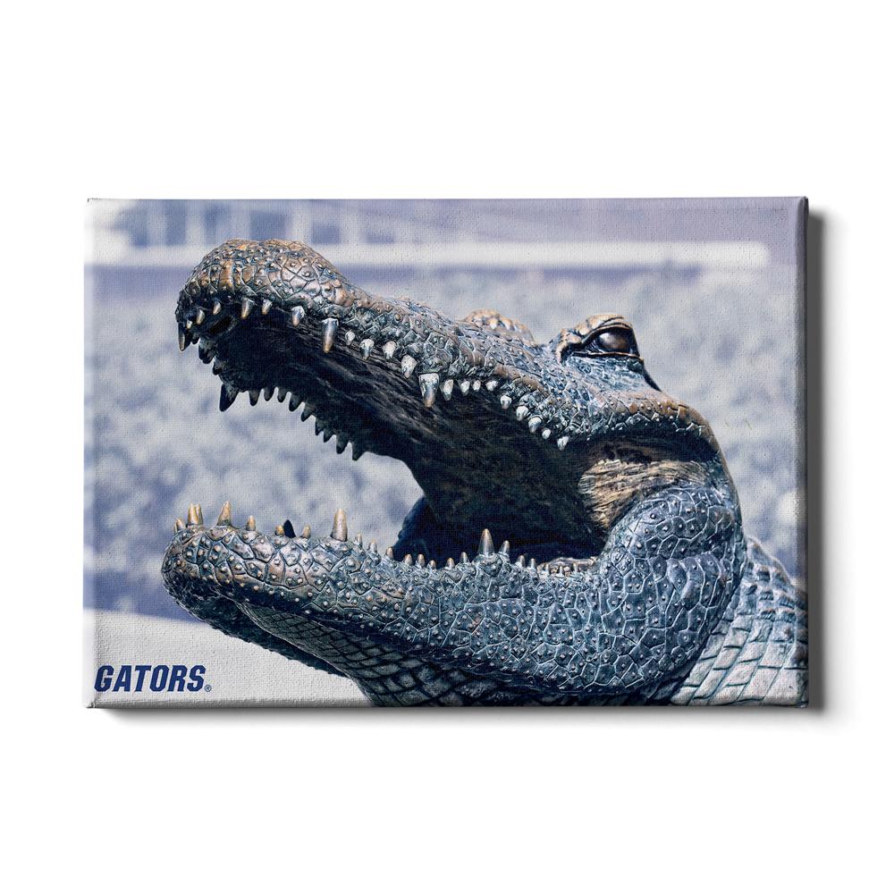 Florida Gators - Bull Gator Up Close - College Wall Art #Canvas