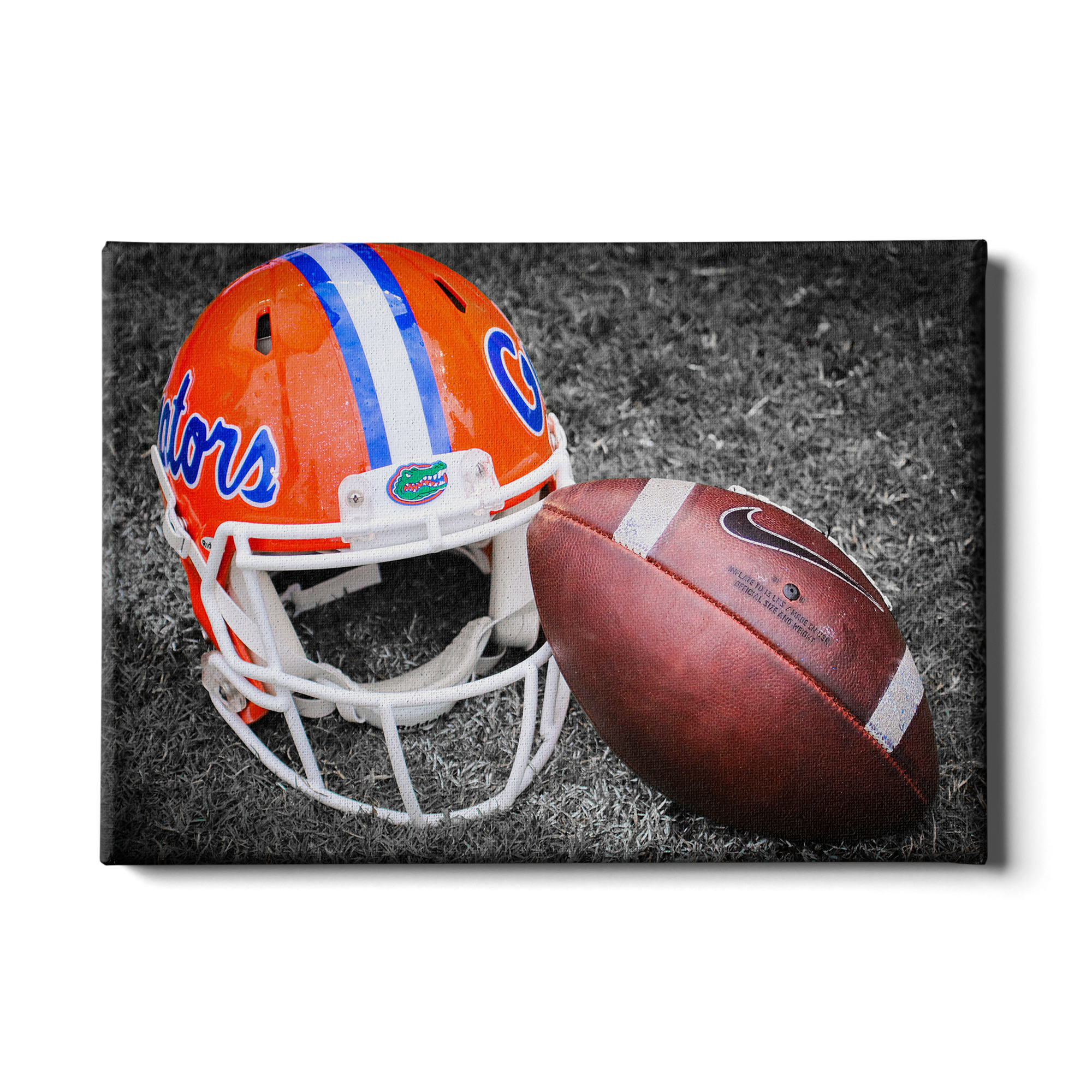 florida gators football helmets Florida Gators