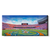 Florida Gators - Gators Panoramic - College Wall Art #Canvas