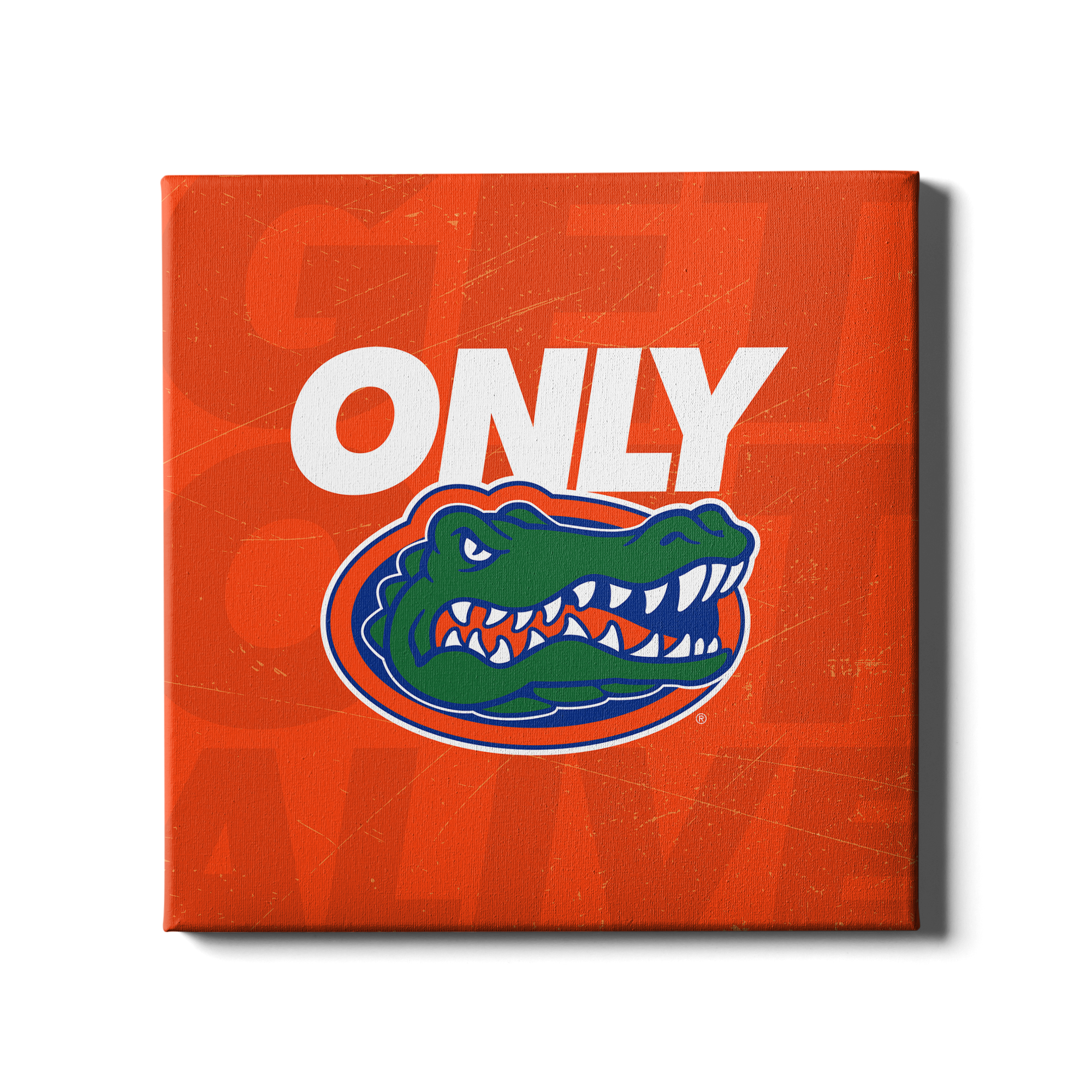 Cg Gators New Florida Gators Logo