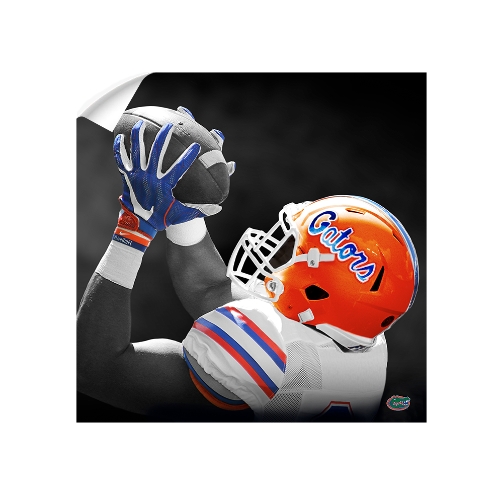 Florida Gators - The Catch - College Wall Art #Canvas