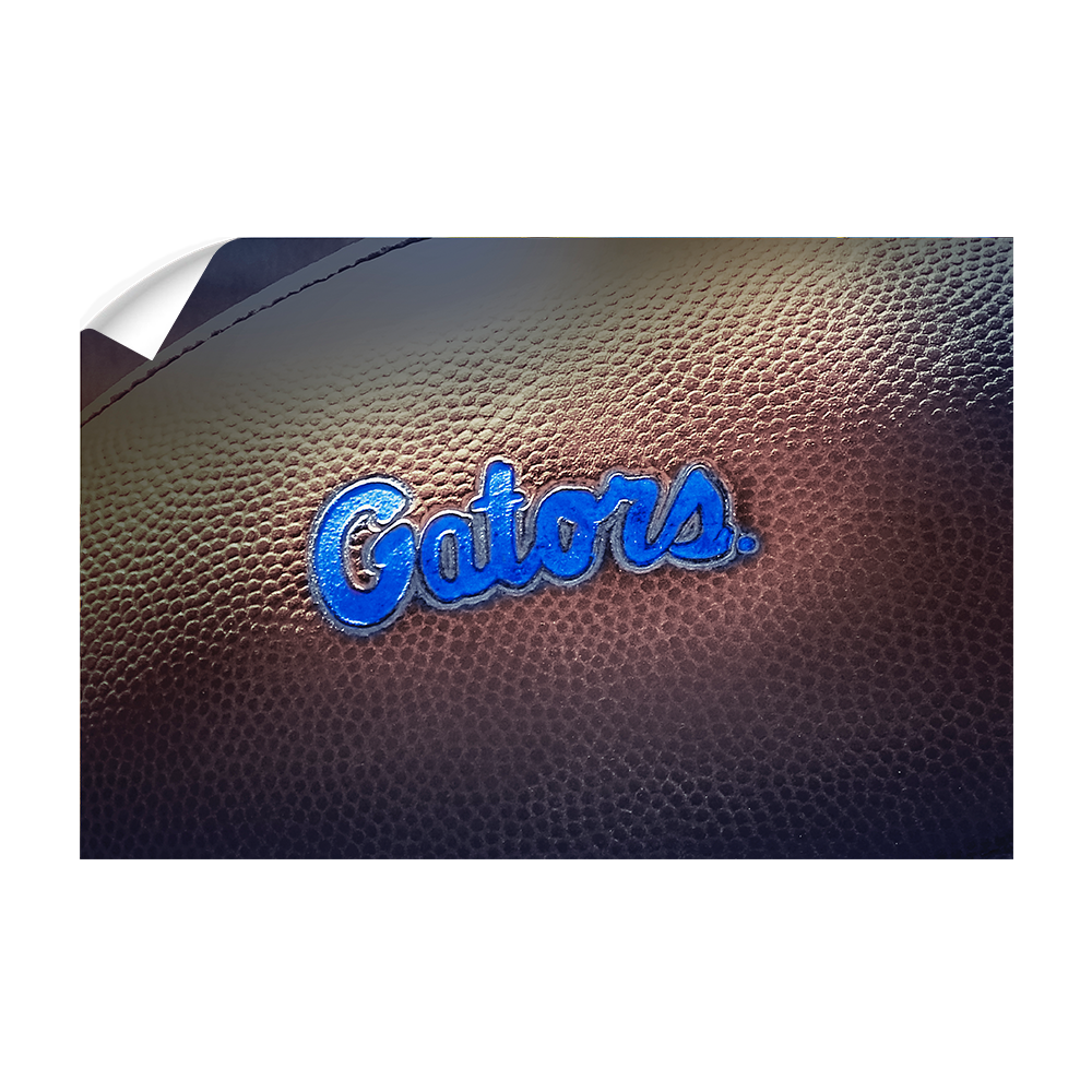 Florida Gators - Gators FB Duo - College Wall Art #Canvas