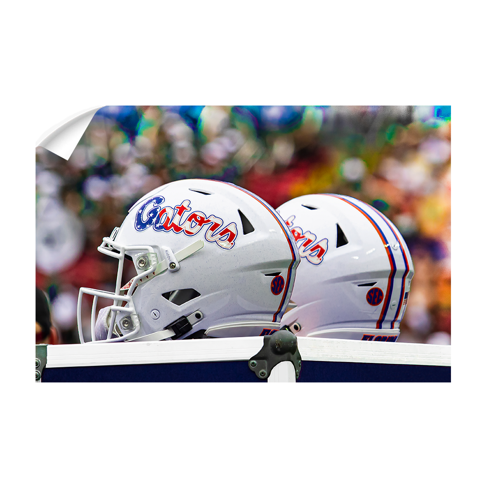 Florida Gators - USA Helmets - College Wall Art #Canvas