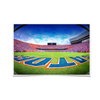 Florida Gators - Swamp End Zone - College Wall Art #Poster