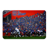 Florida Gators - In the Swamp - College Wall Art #PVC