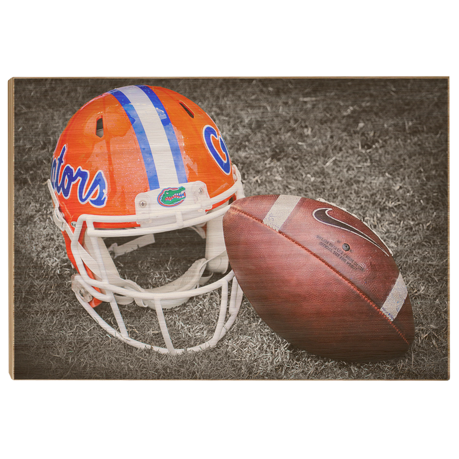 Florida Gators - Gator Ball Helmet - College Wall Art #Canvas
