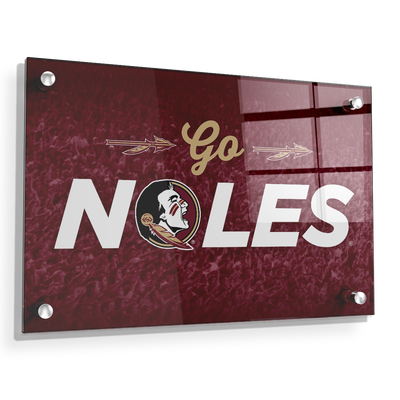 Florida State Seminoles - Go Noles - College Wall Art #Acrylic