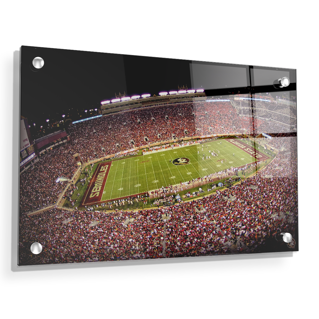 Florida State Seminoles - Doak - College Wall Art #Canvas