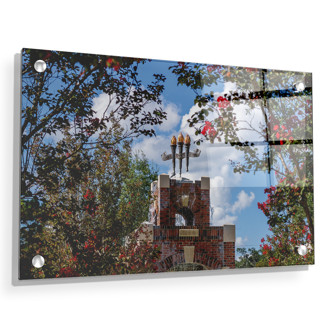 Florida State Seminoles - Red Bloom Framed Torches - College Wall Art #Canvas