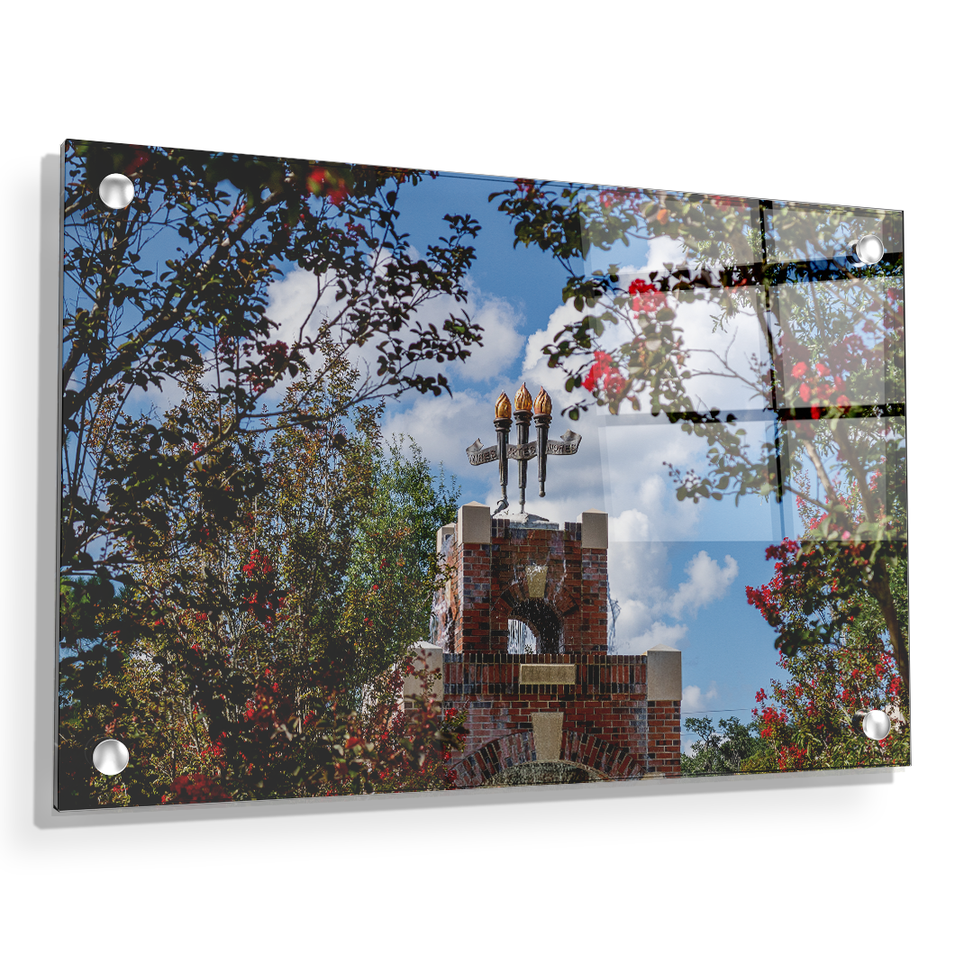 Florida State Seminoles - Red Bloom Framed Torches - College Wall Art #Canvas