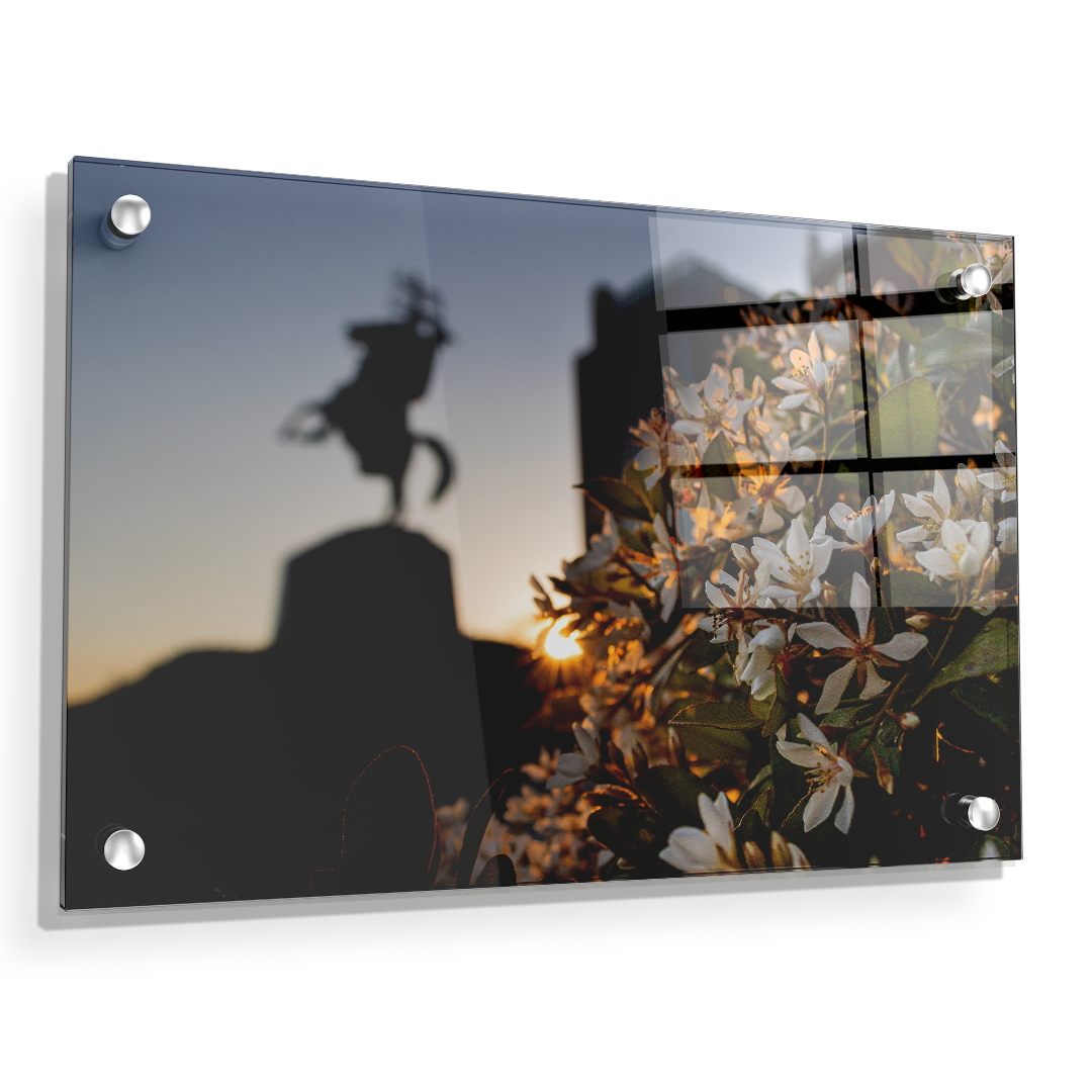 Florida State Seminoles - Unconquered Sunset - College Wall Art #Canvas