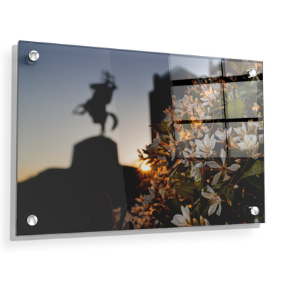 Florida State Seminoles - Unconquered Sunset - College Wall Art #Acrylic