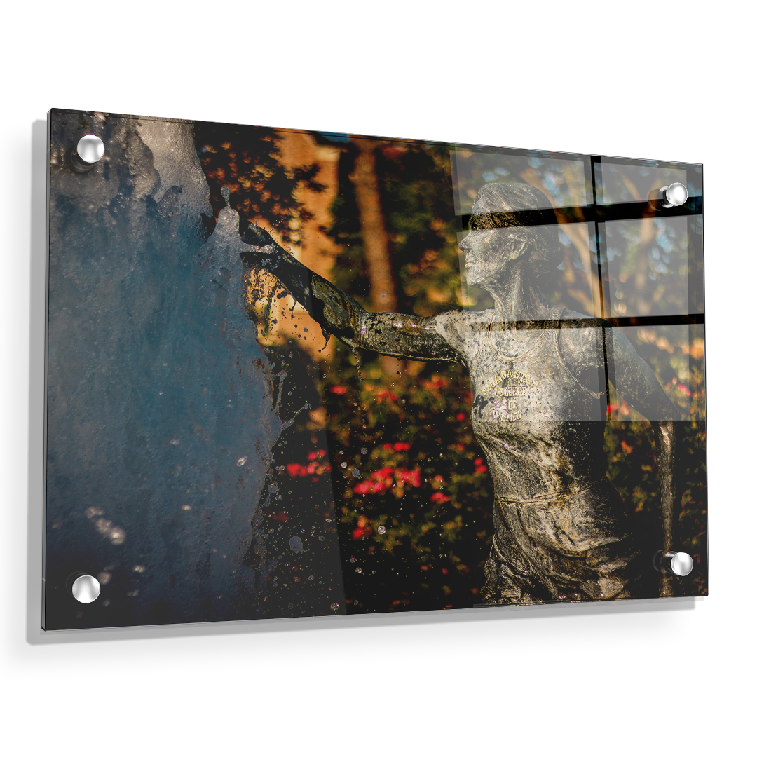 Florida State Seminoles - Legacy Fountain Splash - College Wall Art #Canvas