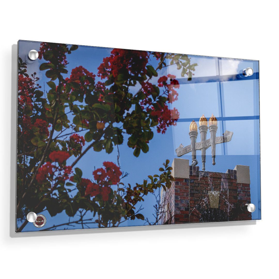 Florida State Seminoles - Red Bloom Torches - College Wall Art #Canvas