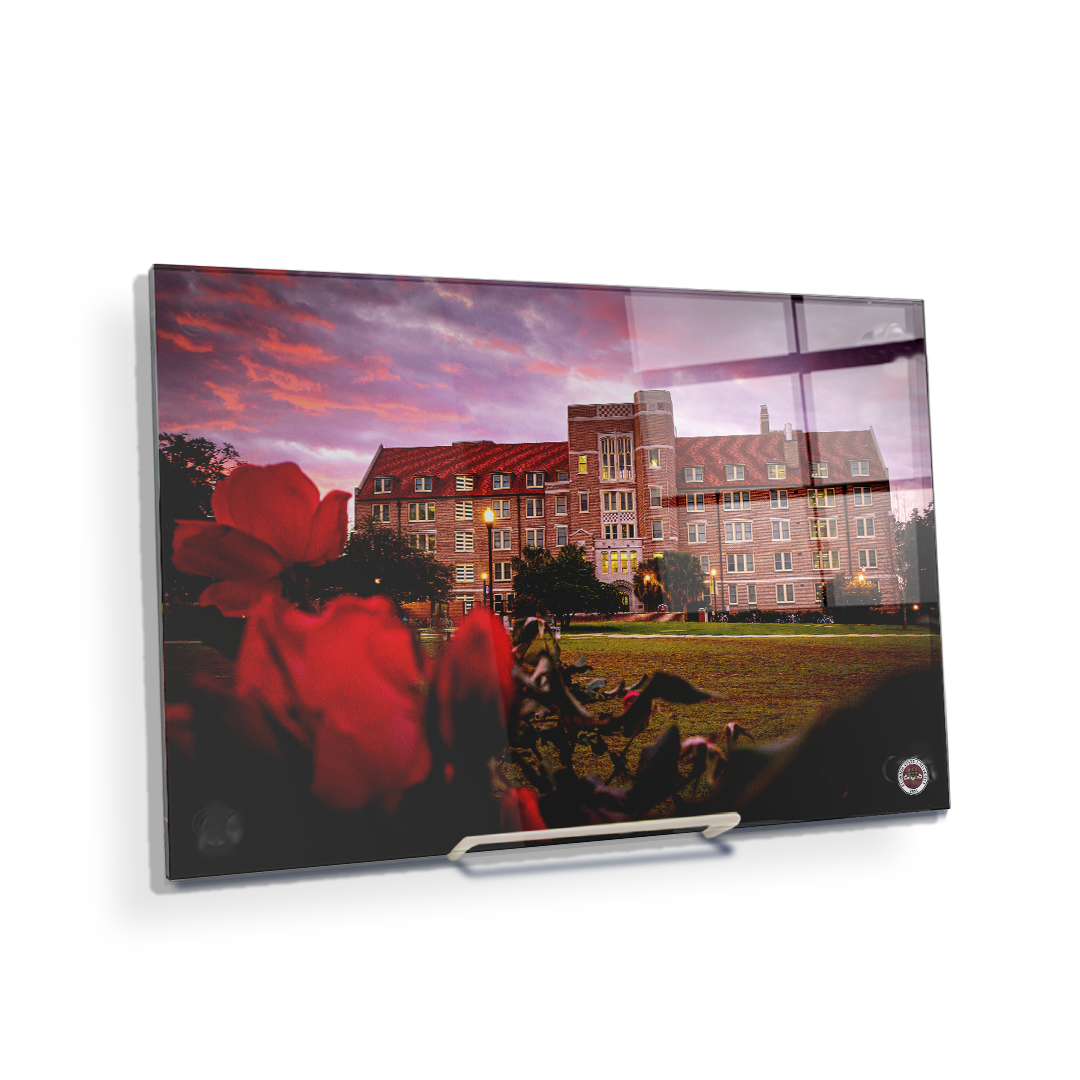 Florida State Seminoles - Red Sunrise Over Landis - College Wall Art #Canvas