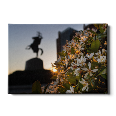 Florida State Seminoles - Unconquered Sunset - College Wall Art #Canvas