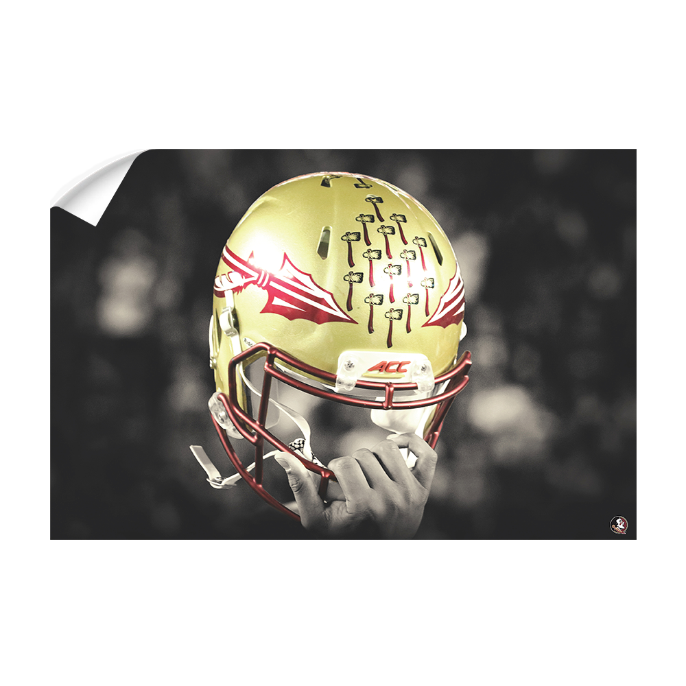fsu football helmet logo