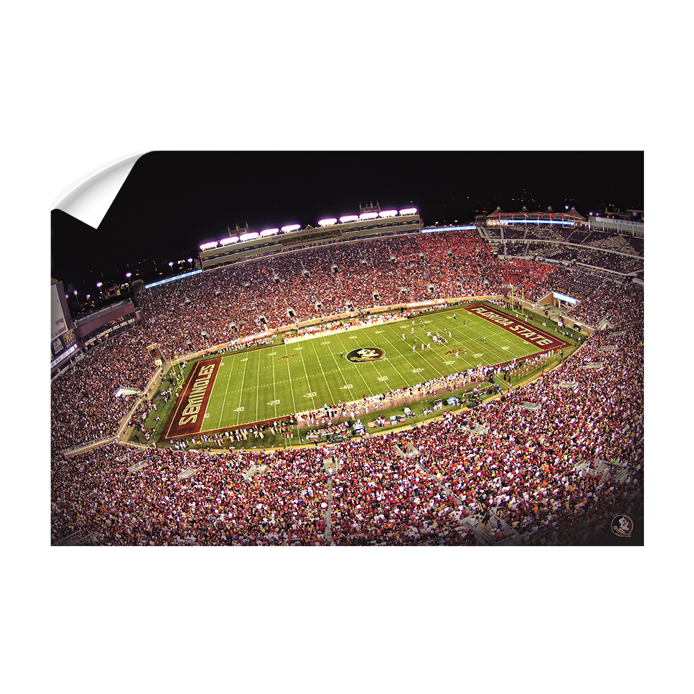 Florida State Seminoles - Doak - College Wall Art #Canvas