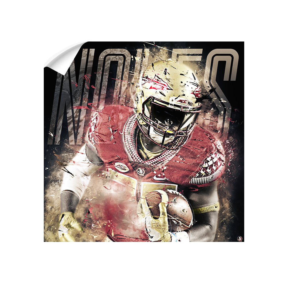 Florida State Seminoles - Noles - College Wall Art #Canvas
